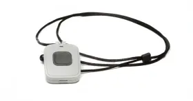 1148-G DMP Wireless Pendant