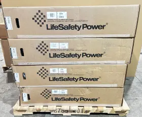 250-2C8P2D8PE8M2 LIFESAFETY POWER Flexpower Dual Voltage