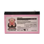 Altronix Smp10pm12p4cb 12v 7ah Replacement Alarm Sla Battery. Fixed Price $19.85.